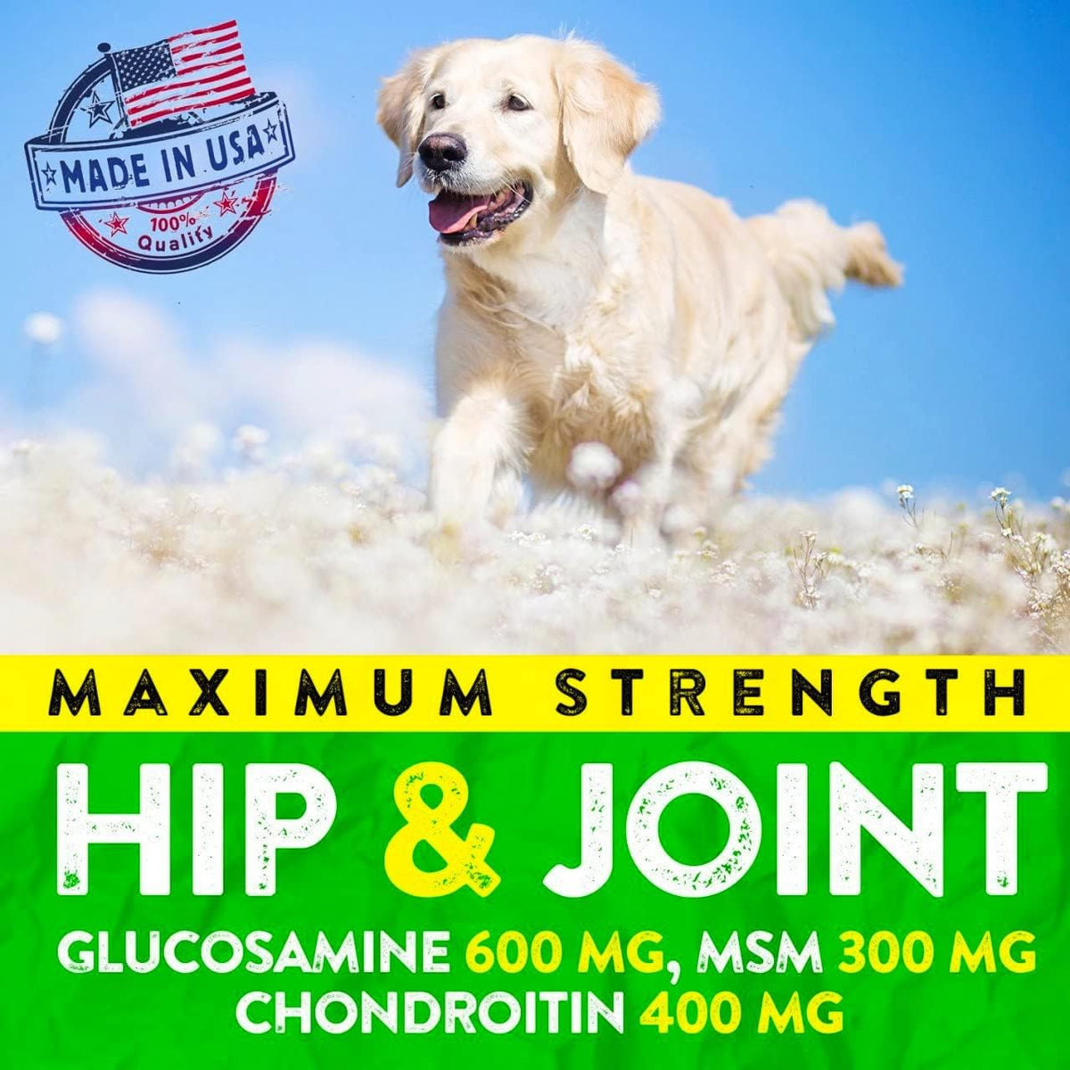 Hemp Hip and Joint Supplement for Dogs - Glucosamine for Dogs - 170 Ct
