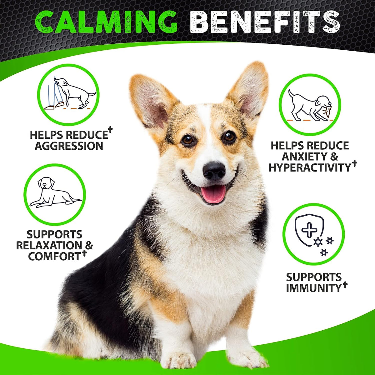 Hemp Hip and Joint Supplement for Dogs - Glucosamine for Dogs - 170 Ct