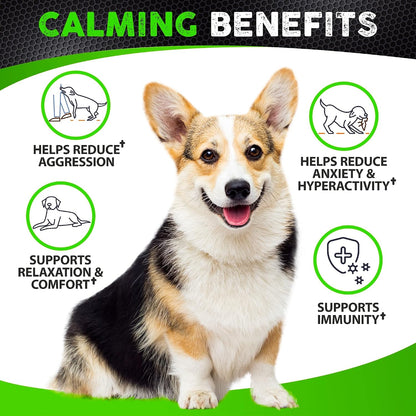 Hemp Hip and Joint Supplement for Dogs - Glucosamine for Dogs - 170 Ct