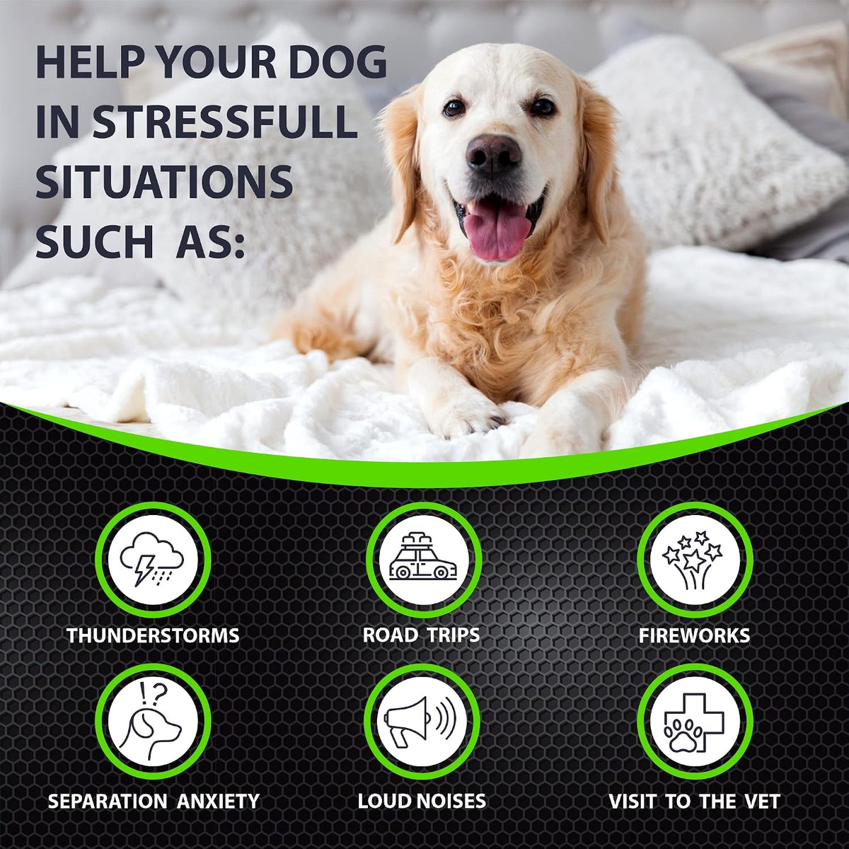Hemp Hip and Joint Supplement for Dogs - Glucosamine for Dogs - 170 Ct