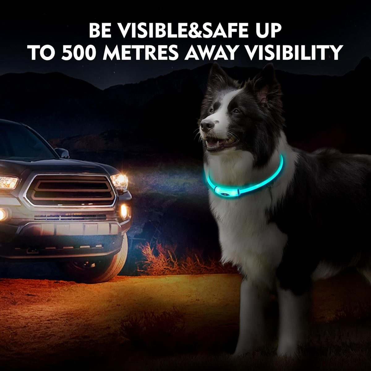 Lighted Dog Collar, Rechargeable 7 Colors Changing Light Up Dog Collar, IP67 Waterproof LED Collar Glow in the Dark, Make Pet Visible and Safety for Night Walking,Outdoor, for All Dogs