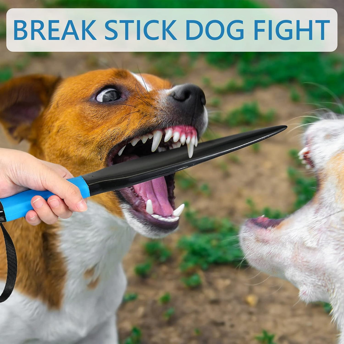 Dog Break Stick Pet Dog Bite Training Stick Pet Chew Toys for Small Medium Pet Supplies, 13.6 x 2 x 0.6 Inch(Blue)