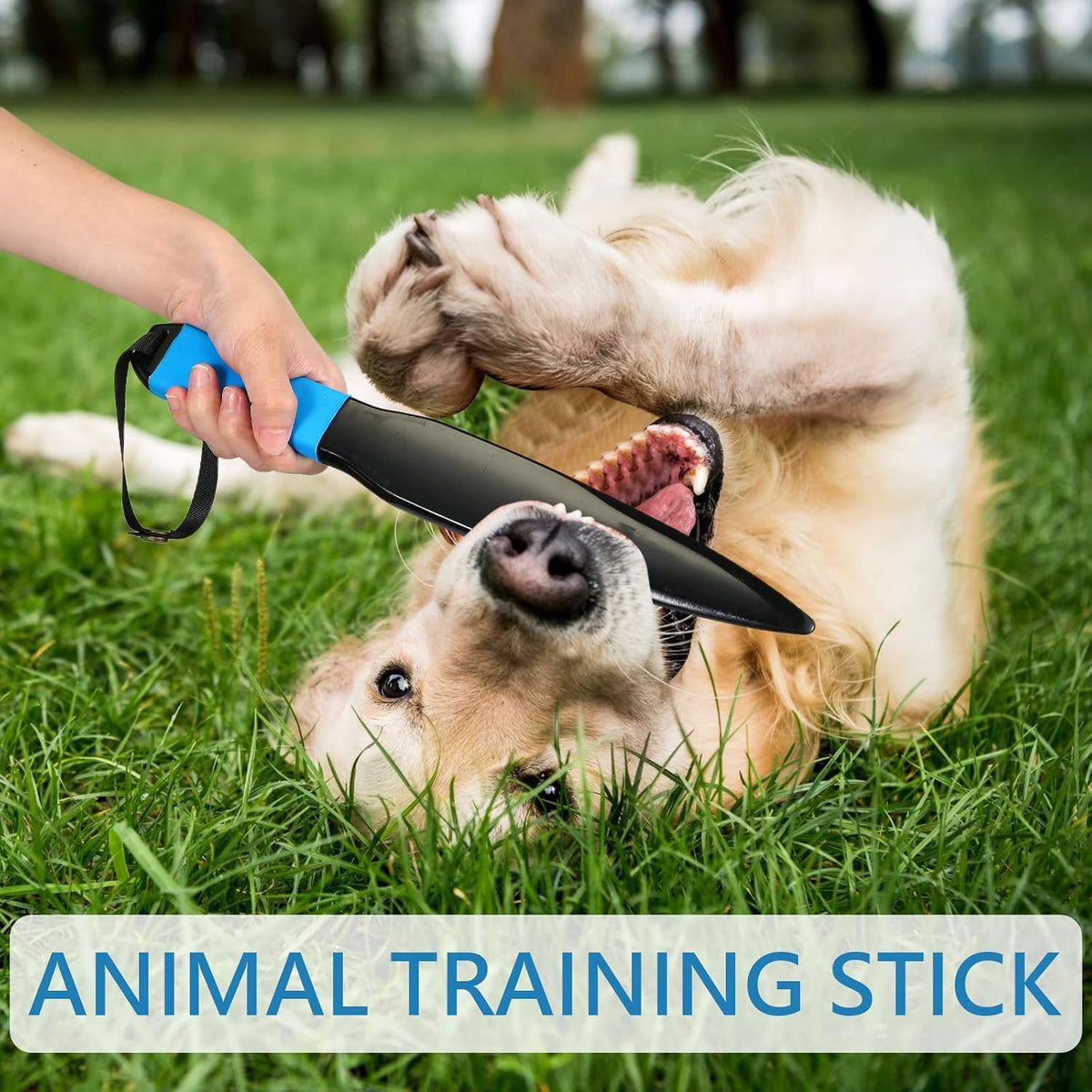 Dog Break Stick Pet Dog Bite Training Stick Pet Chew Toys for Small Medium Pet Supplies, 13.6 x 2 x 0.6 Inch(Blue)