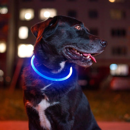 Light up Dog Collar, USB Rechargeable Led Flash Dog Necklace