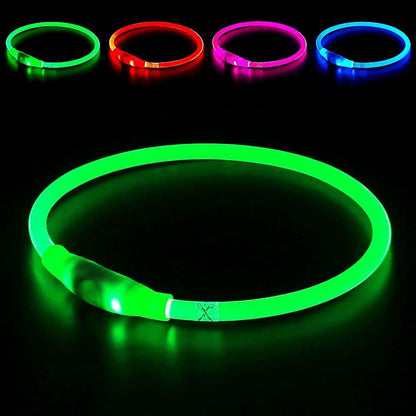 Light up Dog Collar, USB Rechargeable Led Flash Dog Necklace