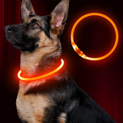 Light up Dog Collar, USB Rechargeable Led Flash Dog Necklace