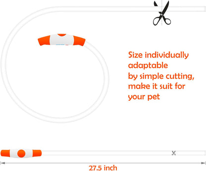 Light up Dog Collar, USB Rechargeable Led Flash Dog Necklace