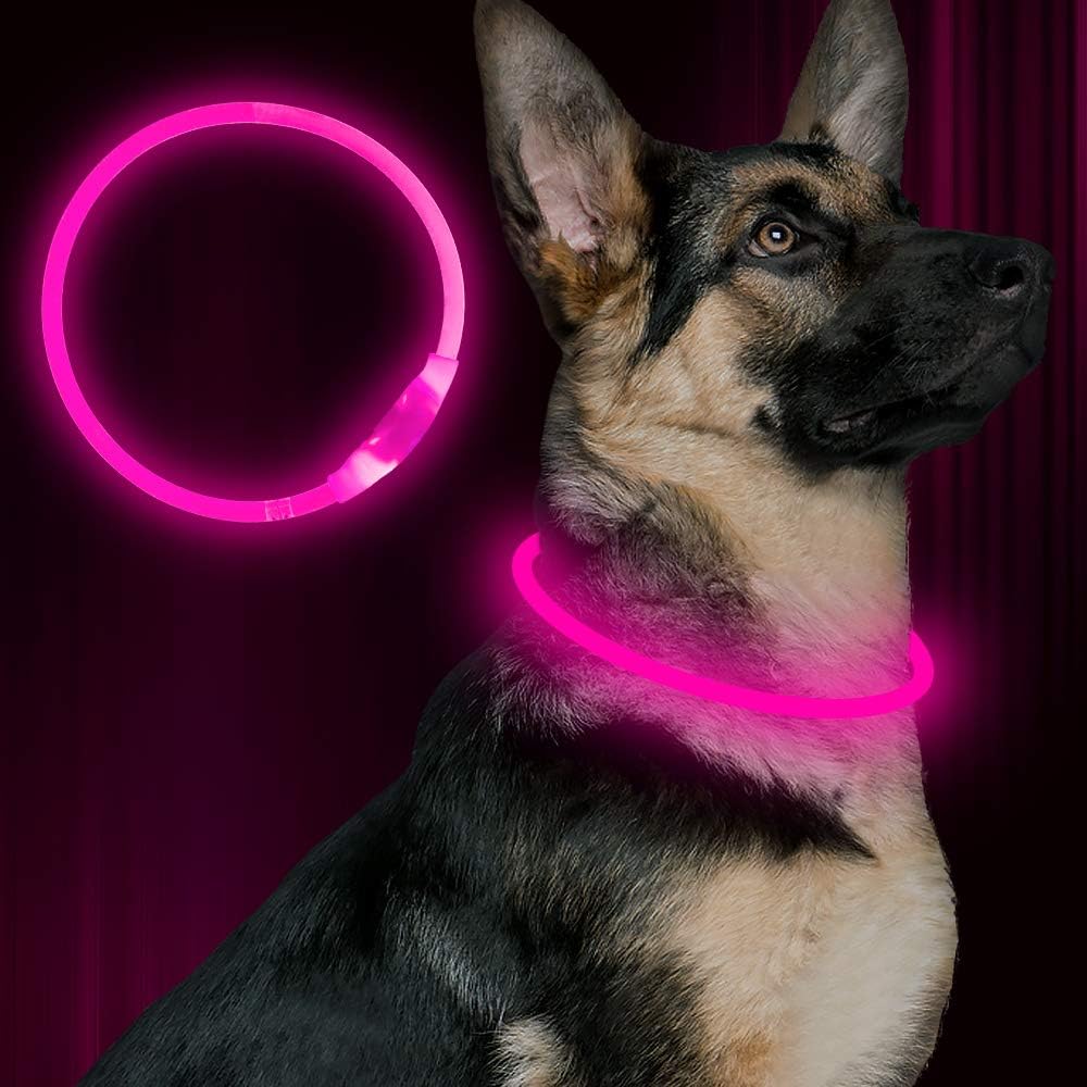 Light up Dog Collar, USB Rechargeable Led Flash Dog Necklace