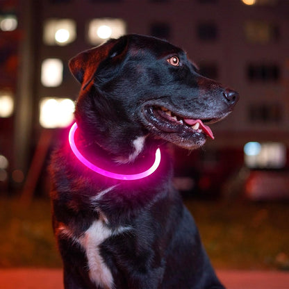 Light up Dog Collar, USB Rechargeable Led Flash Dog Necklace