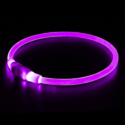 Light up Dog Collar, USB Rechargeable Led Flash Dog Necklace