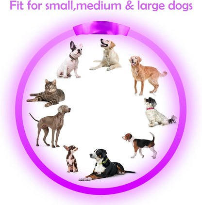 Light up Dog Collar, USB Rechargeable Led Flash Dog Necklace