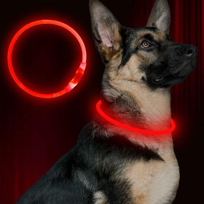 Light up Dog Collar, USB Rechargeable Led Flash Dog Necklace
