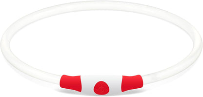 Light up Dog Collar, USB Rechargeable Led Flash Dog Necklace