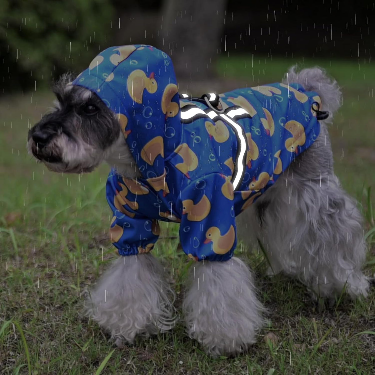 Dog Raincoat with Hood & Harness Built-in, Waterproof Dog Rain Jacket Slicker Poncho Reflective Vest Clothes for Rainy Snowy Winter Cold Days, Blue Duck M