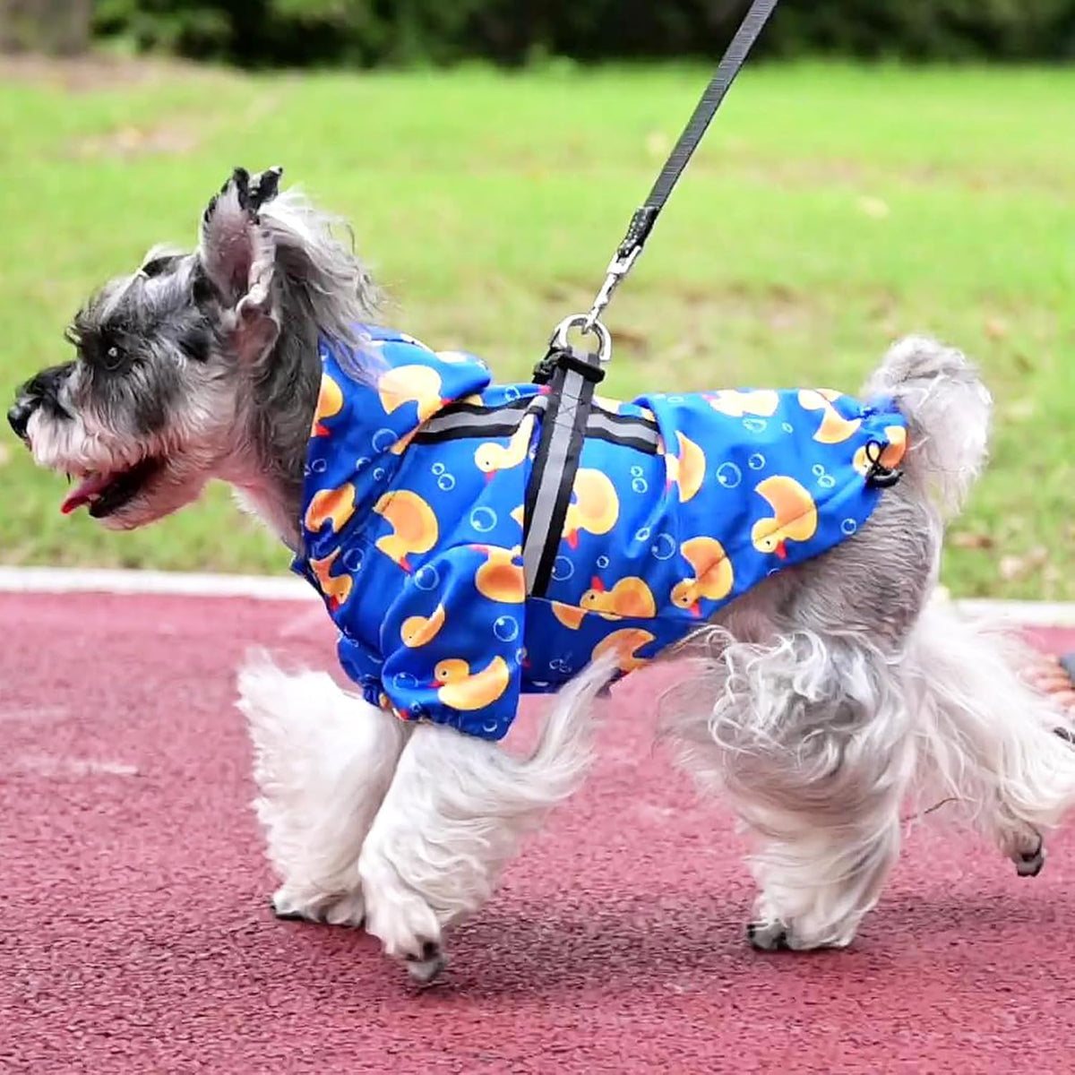 Dog Raincoat with Hood & Harness Built-in, Waterproof Dog Rain Jacket Slicker Poncho Reflective Vest Clothes for Rainy Snowy Winter Cold Days, Blue Duck M
