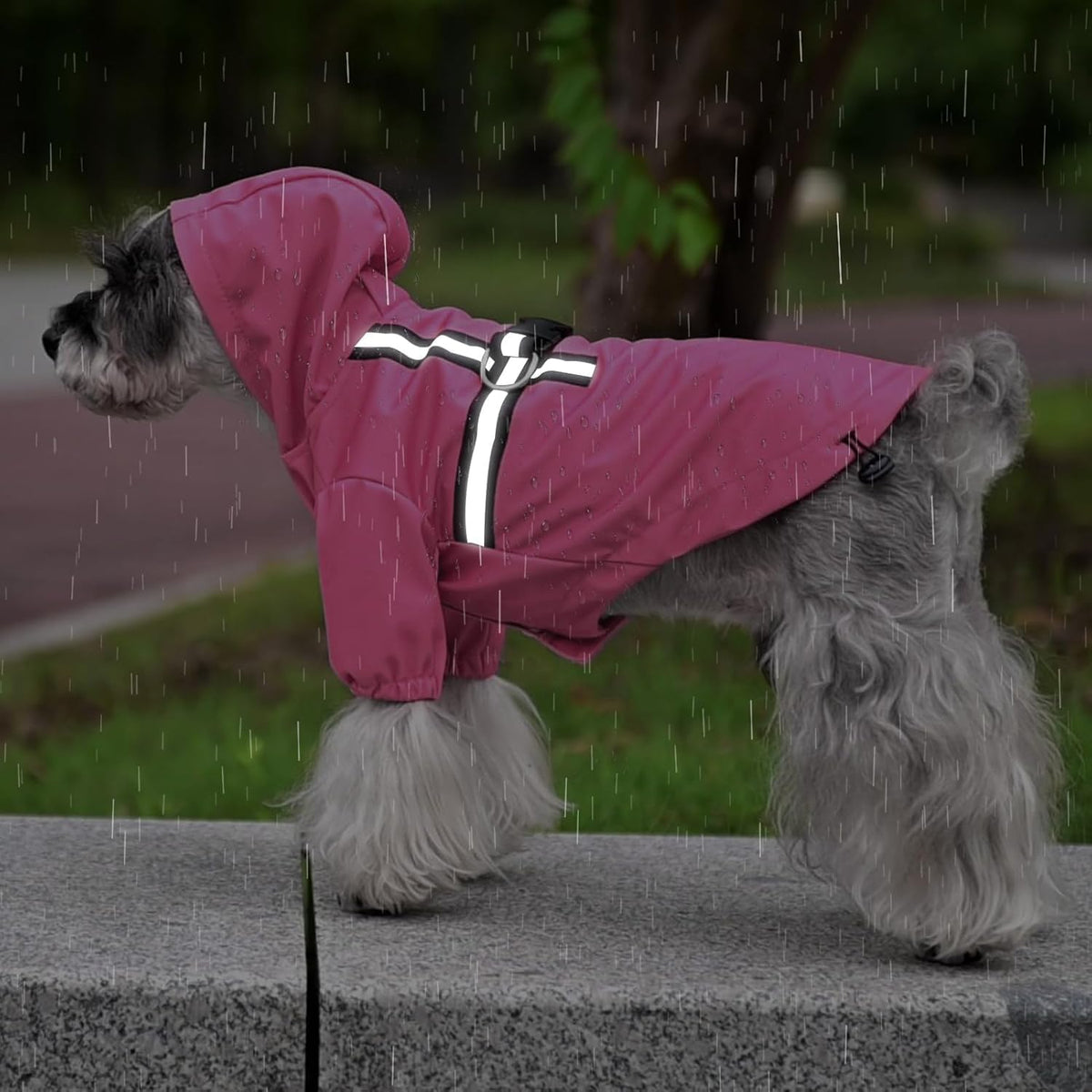 Dog Raincoat with Hood & Harness Built-in, Waterproof Dog Rain Jacket Slicker Poncho Reflective Vest Clothes for Rainy Snowy Winter Cold Days, Blue Duck M