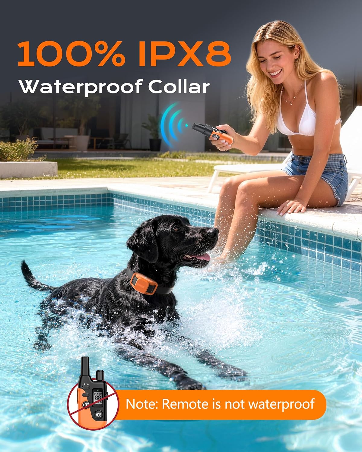 Shock Collar for Dogs with Remote, Dog Training Collar for 10-120lbs Dogs