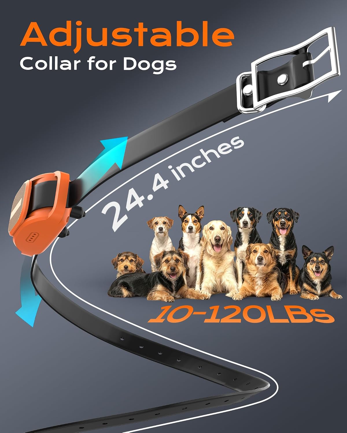Shock Collar for Dogs with Remote, Dog Training Collar for 10-120lbs Dogs