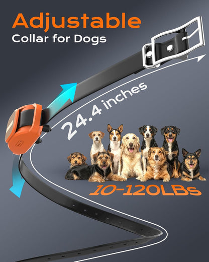 Shock Collar for Dogs with Remote, Dog Training Collar for 10-120lbs Dogs