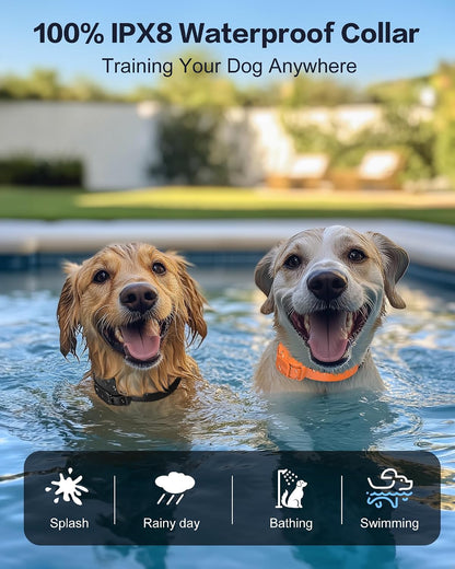 Shock Collar for Dogs with Remote, Dog Training Collar for 10-120lbs Dogs