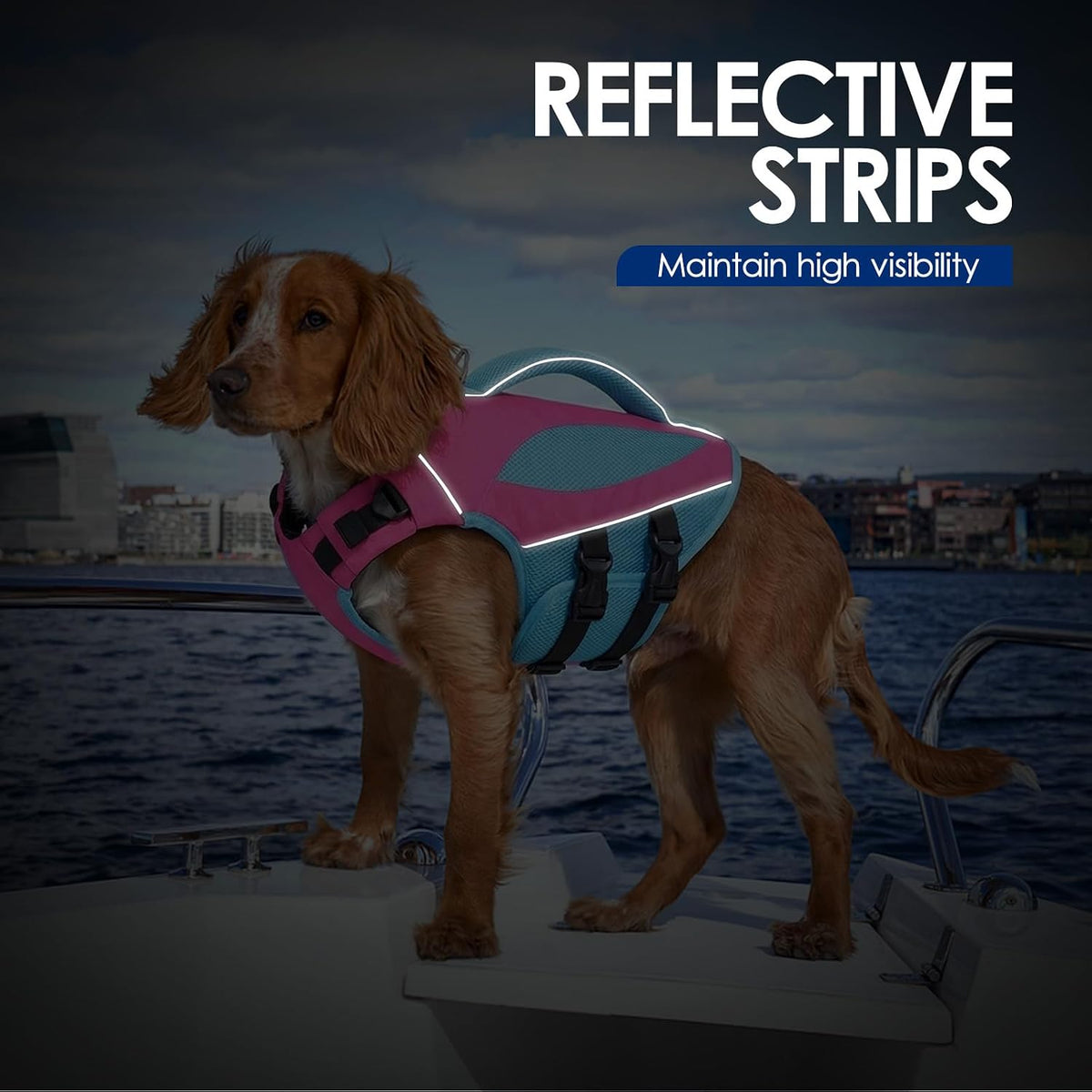 Large Dog Life Jacket High Buoyancy Dog Life Vest for Swimming, XL