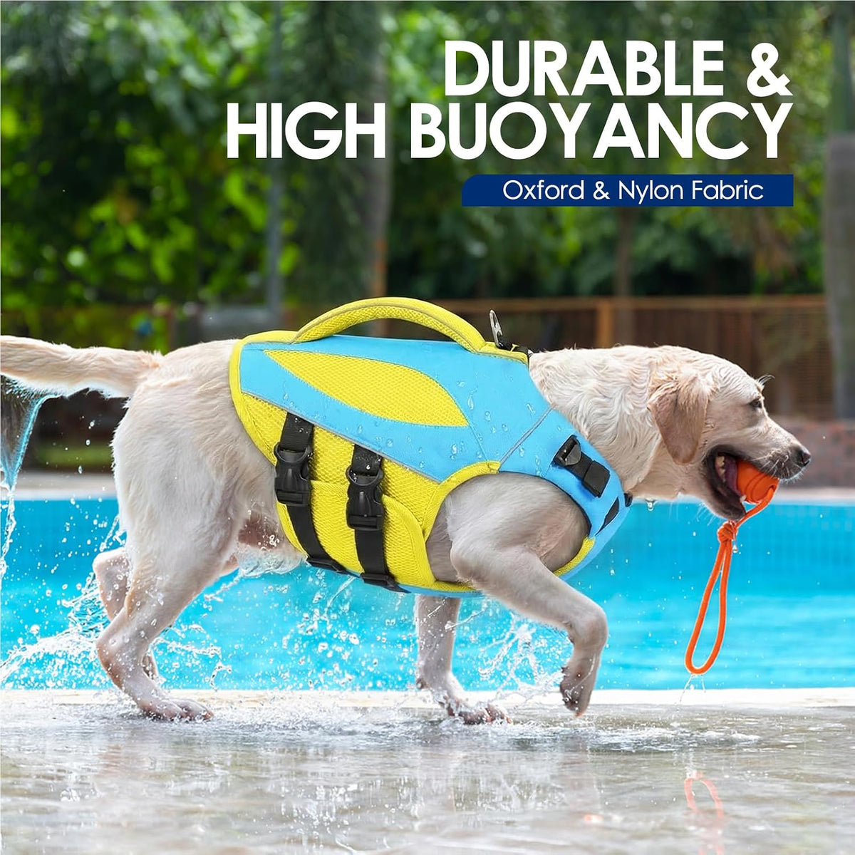 Large Dog Life Jacket High Buoyancy Dog Life Vest for Swimming, XL