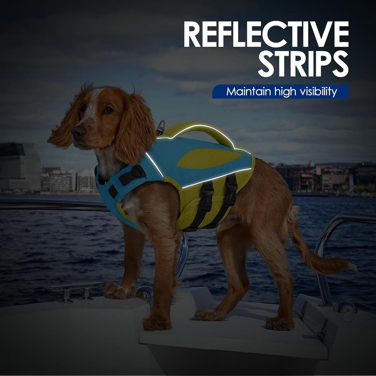 Large Dog Life Jacket High Buoyancy Dog Life Vest for Swimming, XL