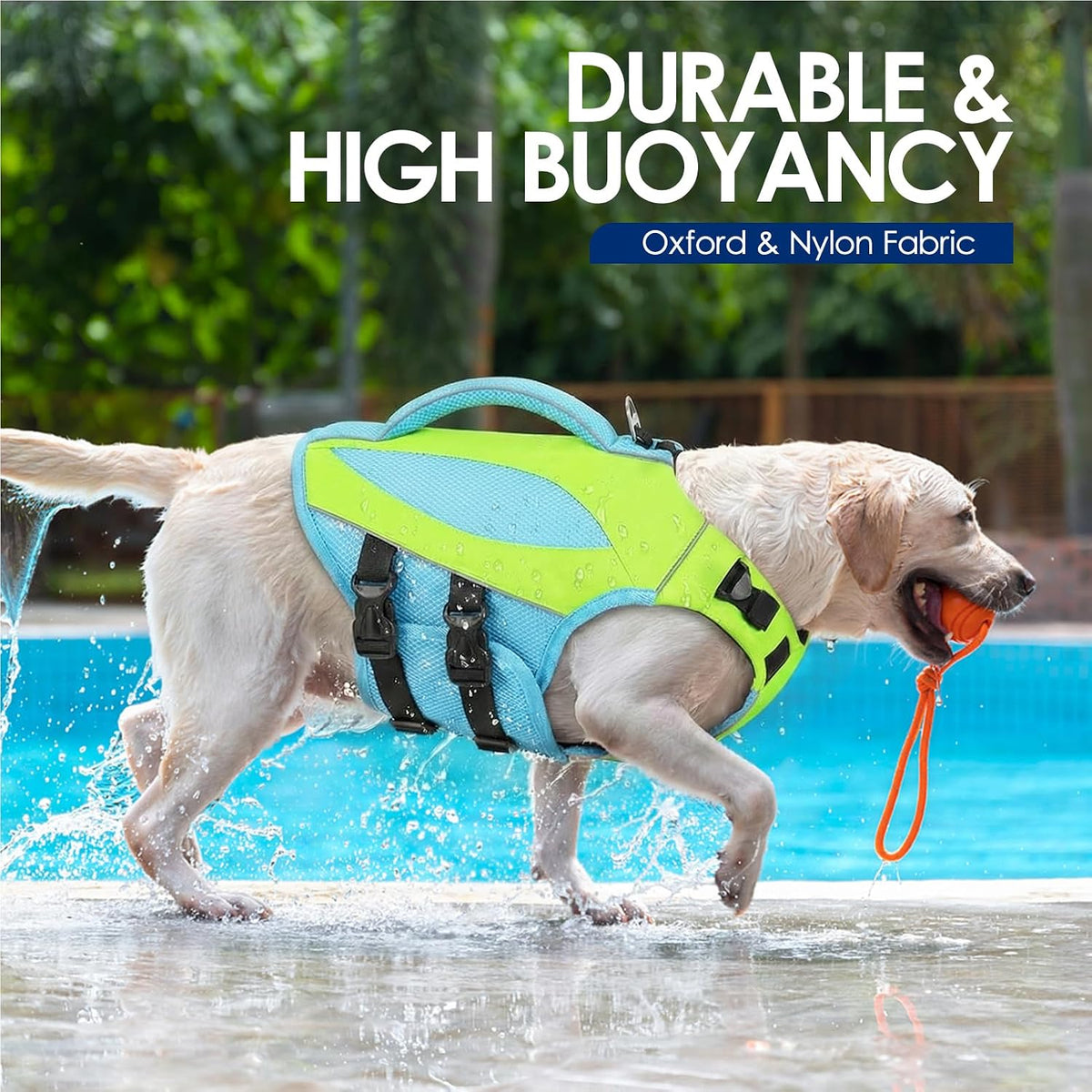 Large Dog Life Jacket High Buoyancy Dog Life Vest for Swimming, XL
