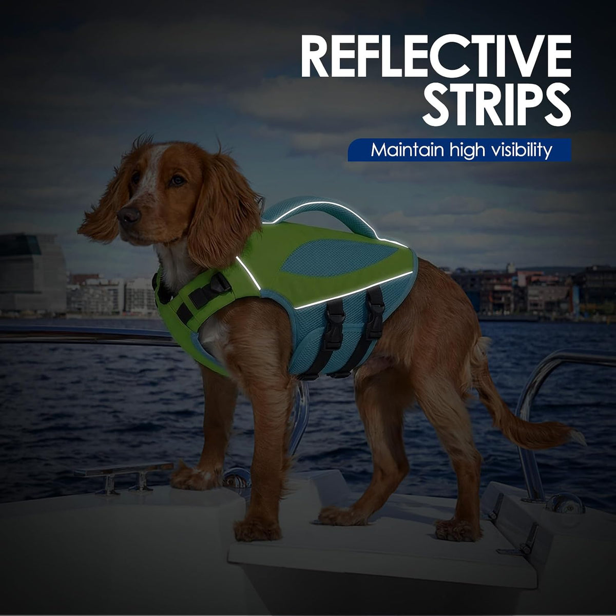 Large Dog Life Jacket High Buoyancy Dog Life Vest for Swimming, XL