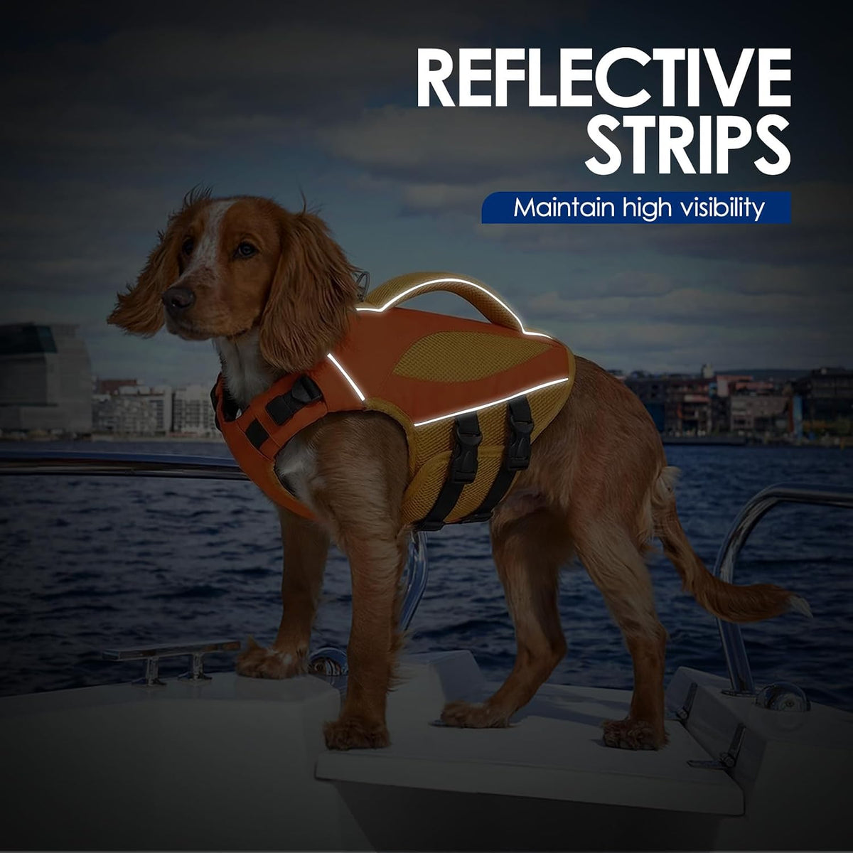 Large Dog Life Jacket High Buoyancy Dog Life Vest for Swimming, XL