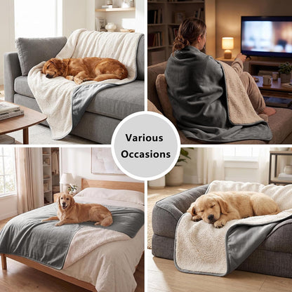 Waterproof Blanket for Dogs - Pet Throw as Furniture Protector | Cozy Sherpa & Smooth Velvet, Reversible and Machine Washable, for Couch and Bed, 60"x80", Dark Grey