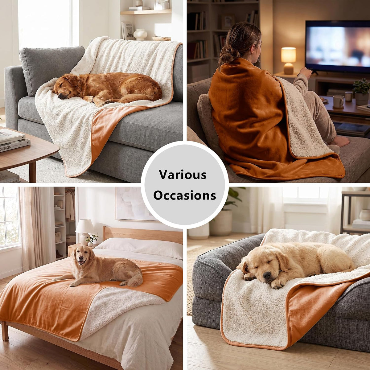 Waterproof Blanket for Dogs - Pet Throw as Furniture Protector | Cozy Sherpa & Smooth Velvet, Reversible and Machine Washable, for Couch and Bed, 60"x80", Dark Grey
