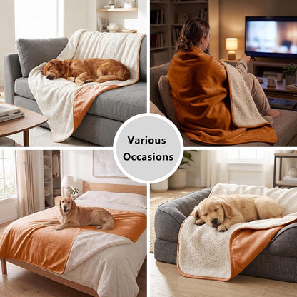 Waterproof Blanket for Dogs - Pet Throw as Furniture Protector | Cozy Sherpa & Smooth Velvet, Reversible and Machine Washable, for Couch and Bed, 60"x80", Dark Grey