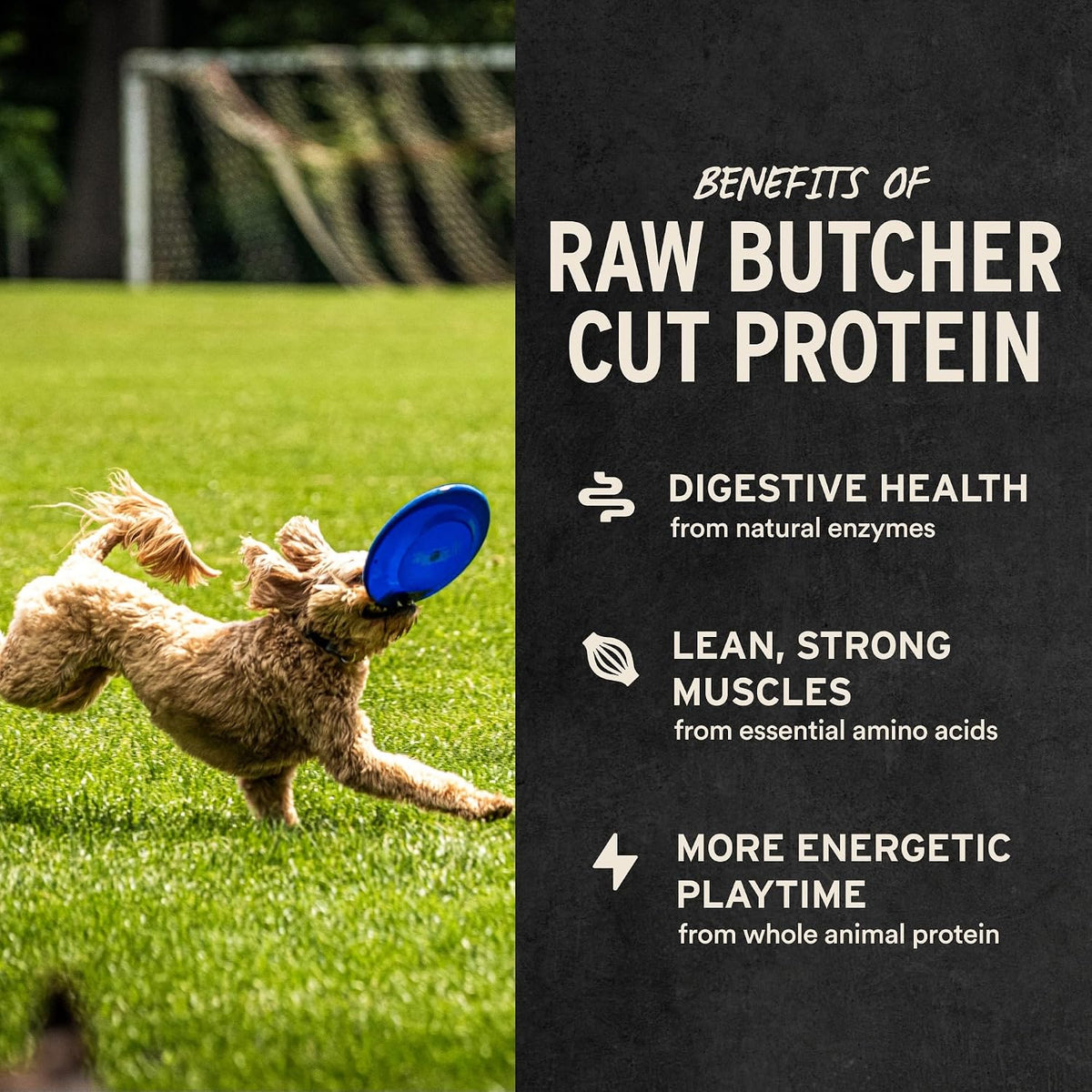 Freeze Dried Dog Treats, Chicken Breast, 2.1 oz Bag