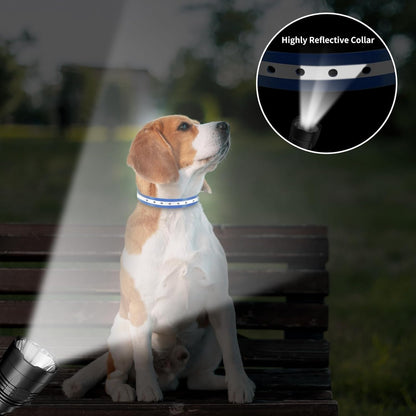 Dog Vibration Collar with Controller for 2 Dogs No Shock, 9 Types of Beeps and Vibrations, 3300ft Range & Upgraded Waterproof Training Collar for Dogs 5-120lbs - No Prongs