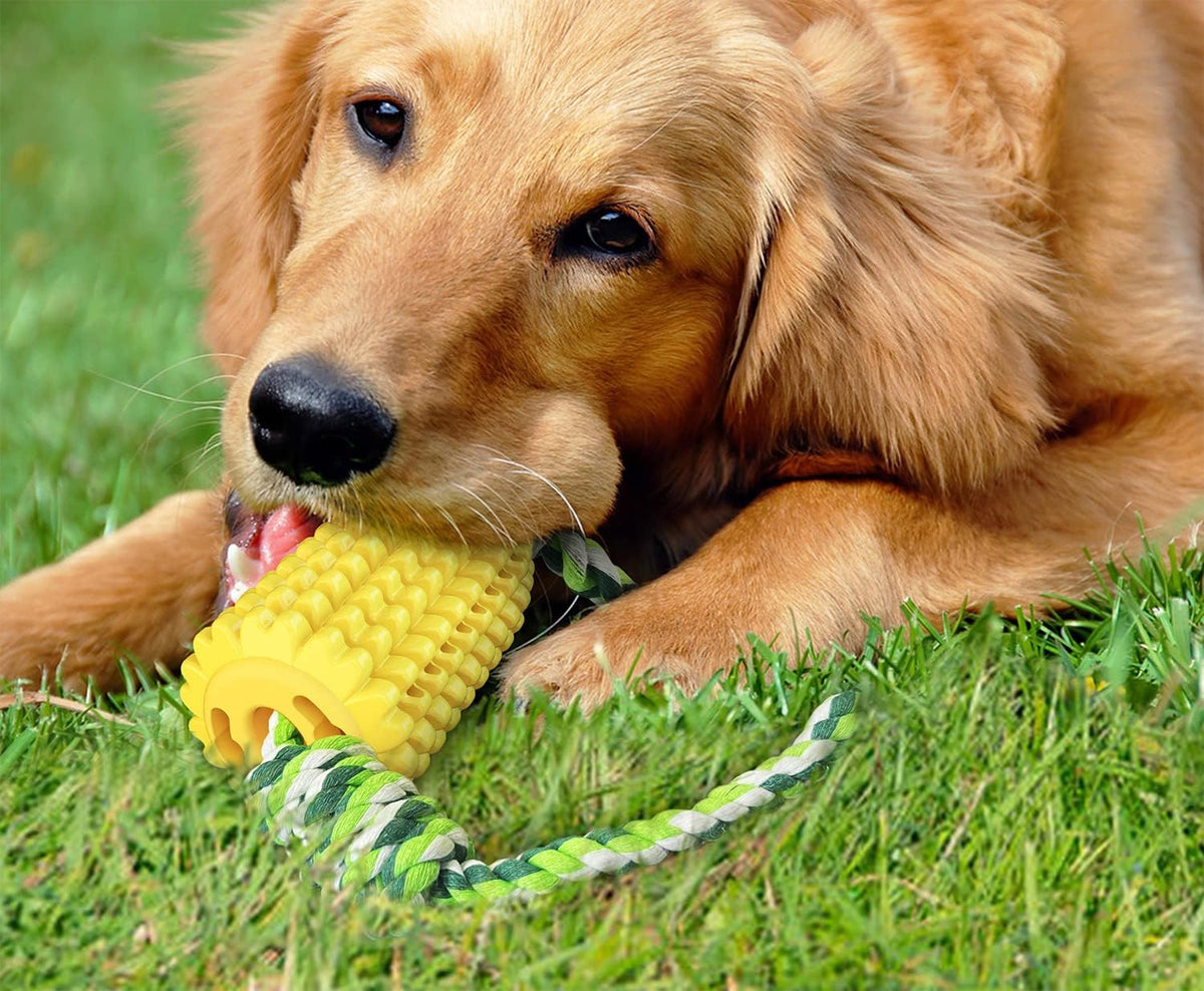 Dog Chew Toys for Aggressive Chewers, Indestructible Tough Dog Toys