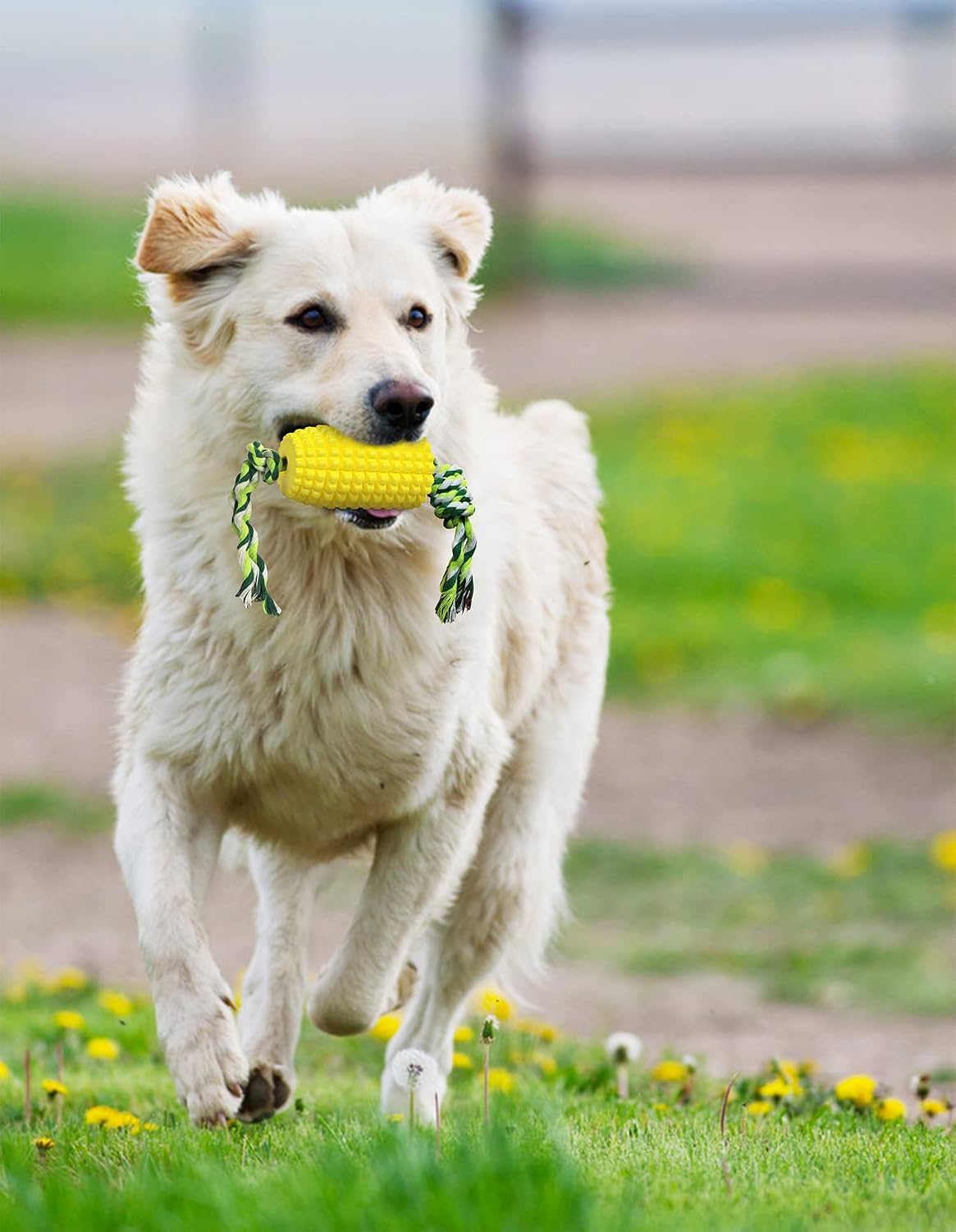 Dog Chew Toys for Aggressive Chewers, Indestructible Tough Dog Toys