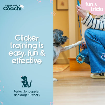 Coachi Whizzclick | Navy/Light Blue Button