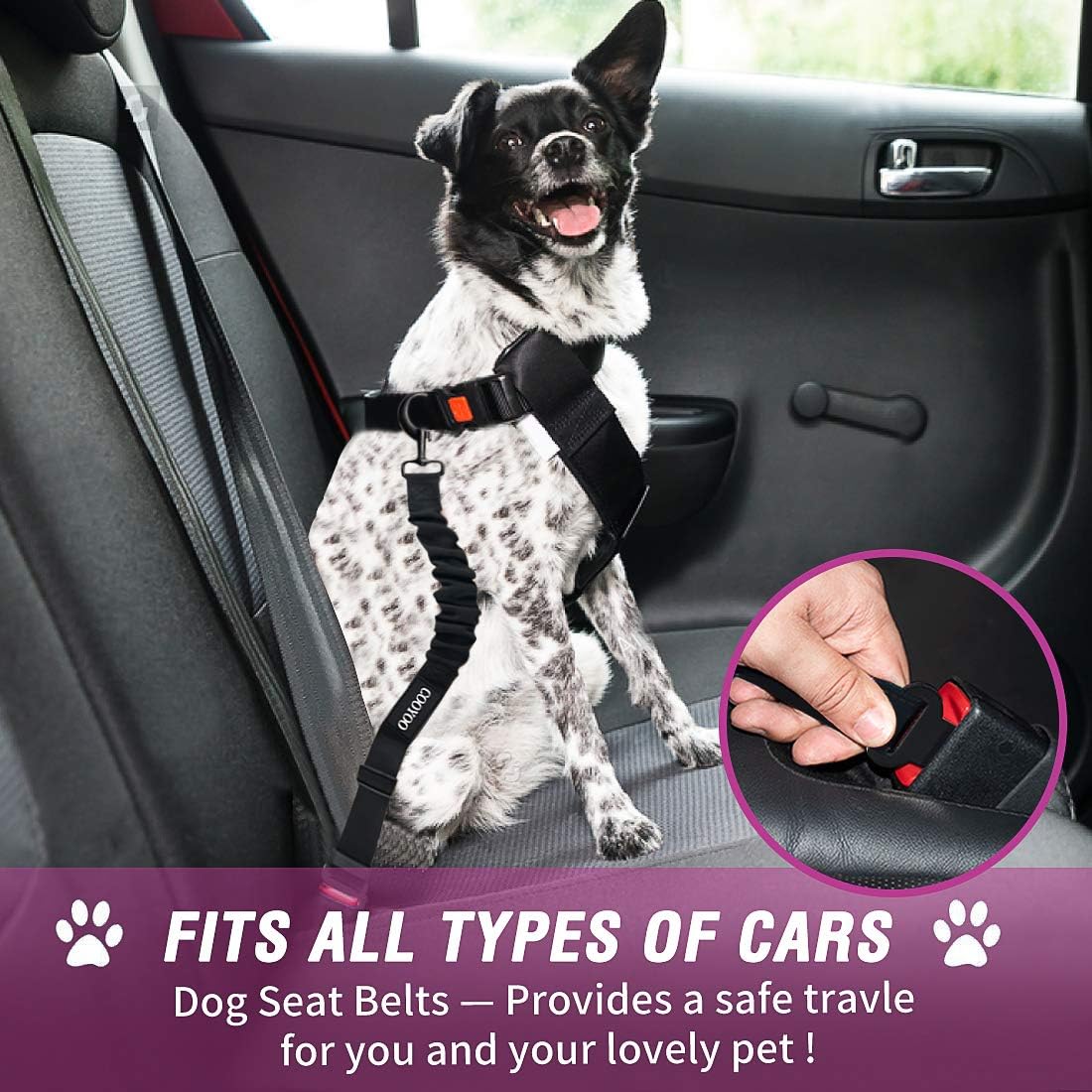 Dog Seat Belt,3 Piece Set Retractable Dog Car Harness Adjustable Dog Seat Belt for Vehicle Nylon Pet Safety Seat Belts Heavy Duty & Elastic