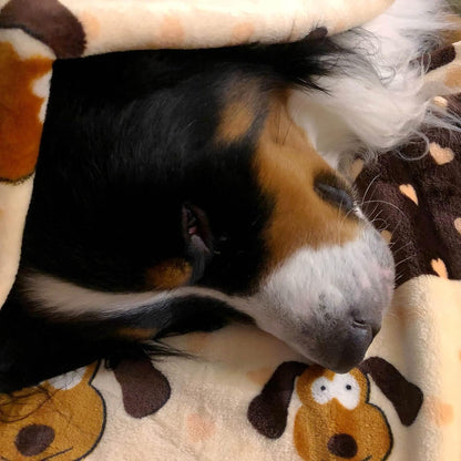 Fleece Blanket for Dogs, Machine Washable, 48 x 30 in