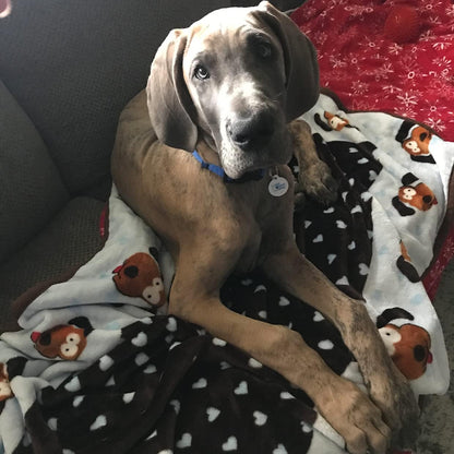 Fleece Blanket for Dogs, Machine Washable, 48 x 30 in