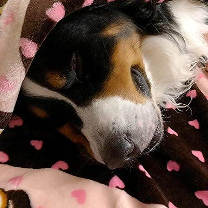 Fleece Blanket for Dogs, Machine Washable, 48 x 30 in