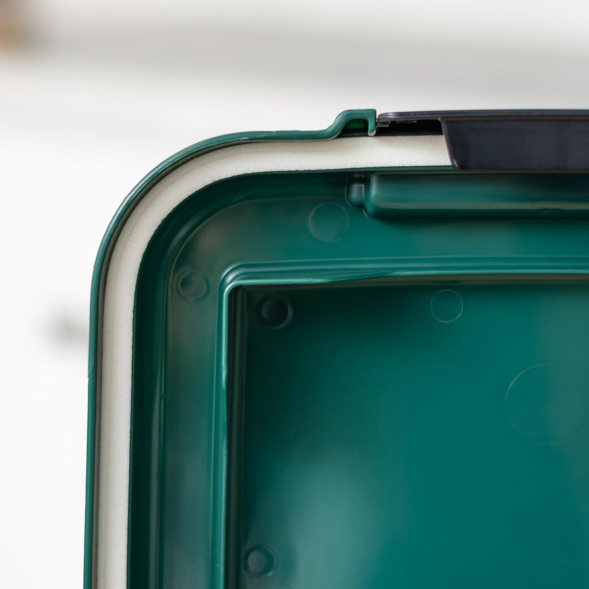Airtight Pet Food Container, Up to 30 lbs & 11 lbs, Green