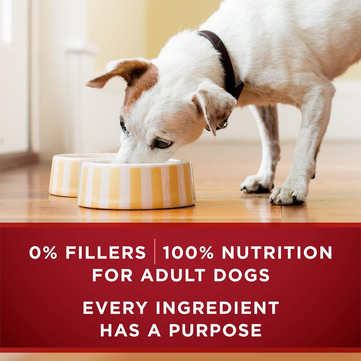 True Instinct Variety Wet Dog Food, Tender Cuts, (6) 13oz Cans