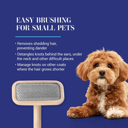 Mark I Slicker Brush for Dogs, 12mm Pins, Groom Like a Pro, Handcrafted Lightweight Beechwood Ergonomic Handle, Stainless Steel Pins, A5I X-Small. Made in Germany.