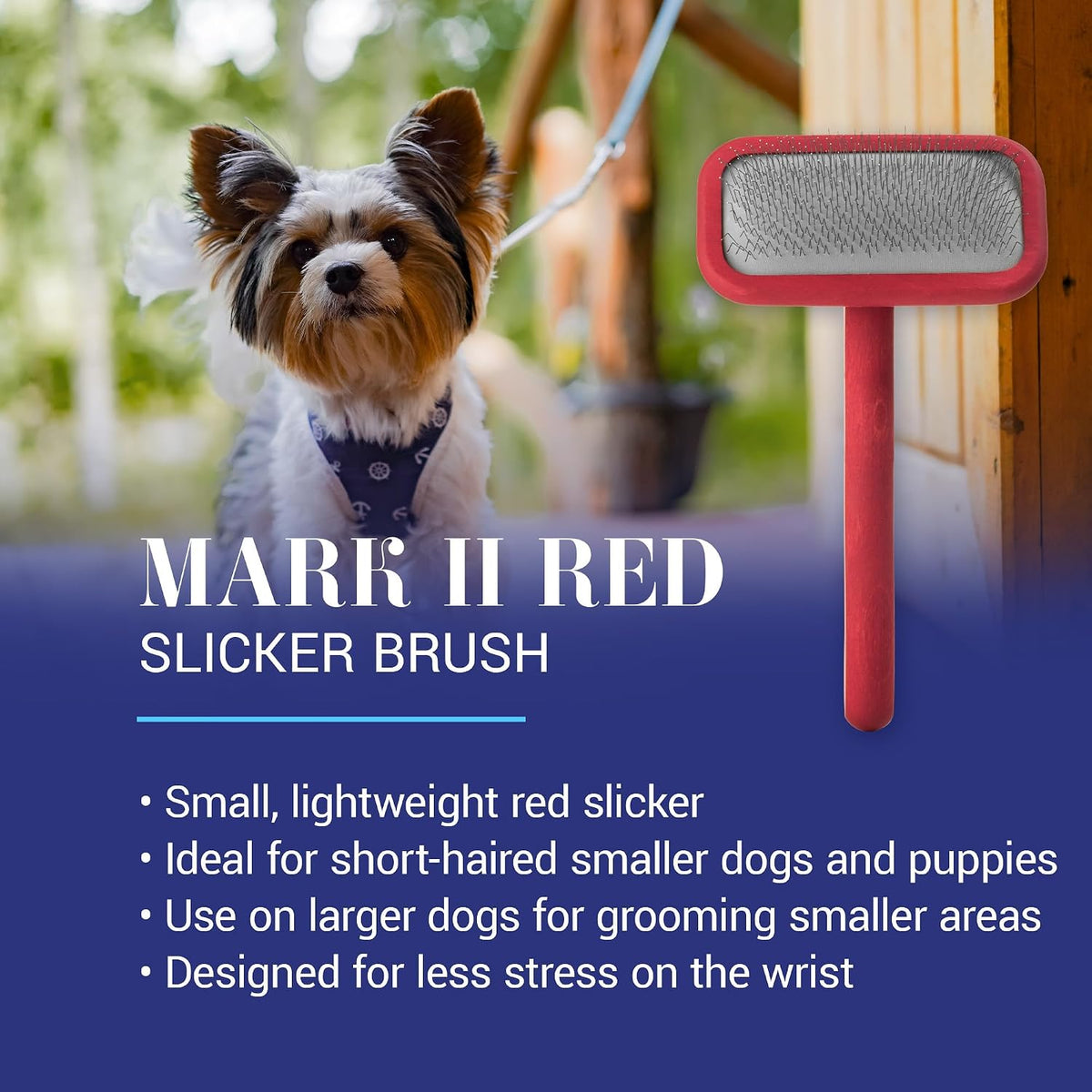 Mark I Slicker Brush for Dogs, 12mm Pins, Groom Like a Pro, Handcrafted Lightweight Beechwood Ergonomic Handle, Stainless Steel Pins, A5I X-Small. Made in Germany.