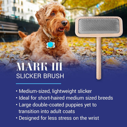Mark I Slicker Brush for Dogs, 12mm Pins, Groom Like a Pro, Handcrafted Lightweight Beechwood Ergonomic Handle, Stainless Steel Pins, A5I X-Small. Made in Germany.