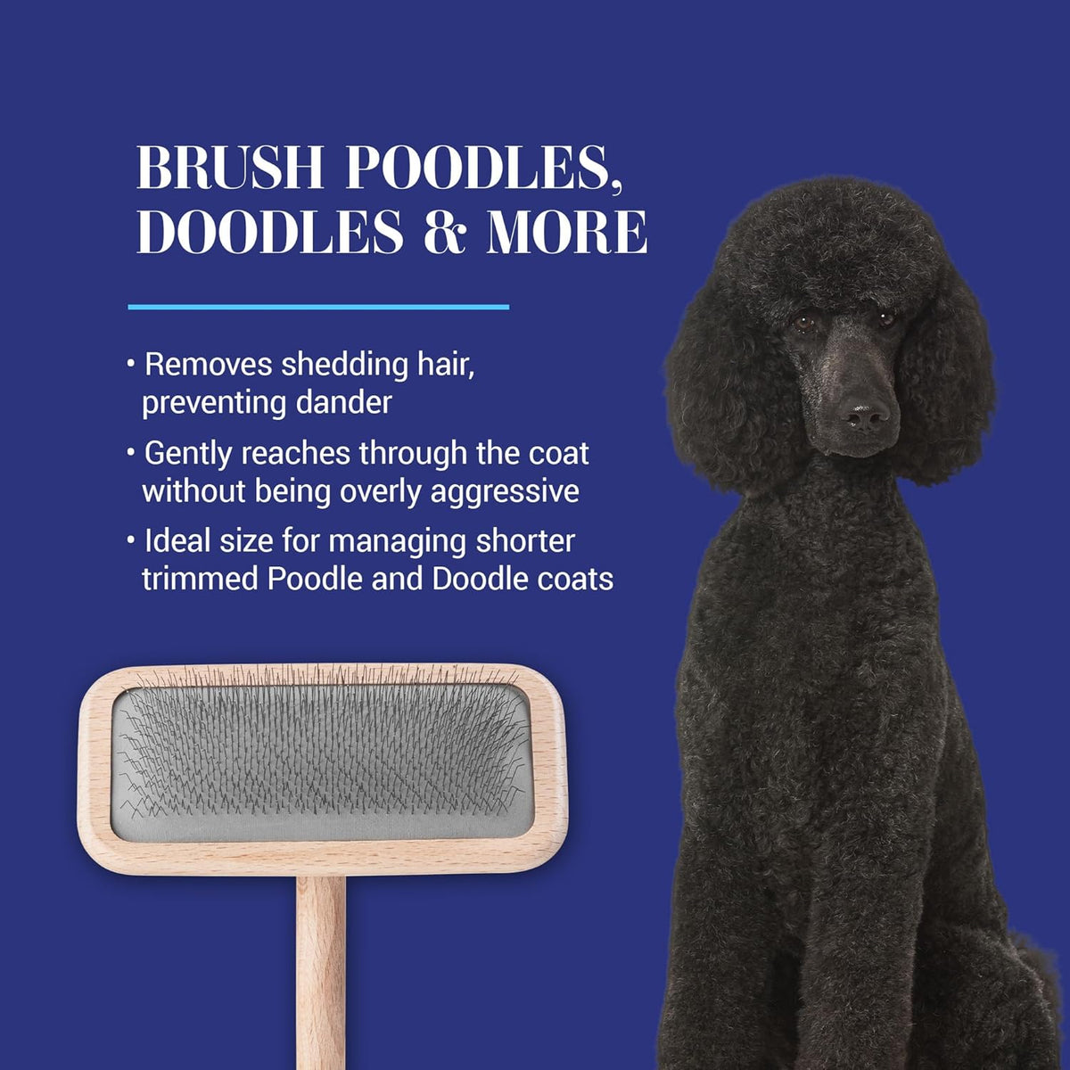Mark I Slicker Brush for Dogs, 12mm Pins, Groom Like a Pro, Handcrafted Lightweight Beechwood Ergonomic Handle, Stainless Steel Pins, A5I X-Small. Made in Germany.