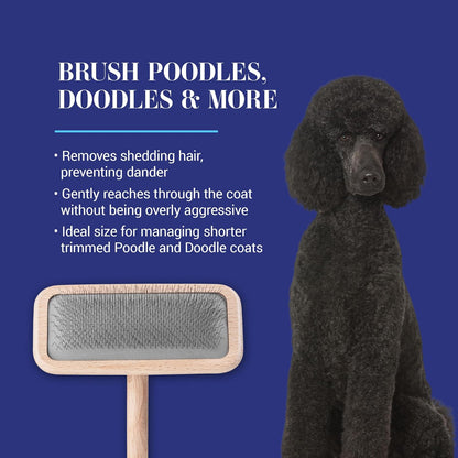 Mark I Slicker Brush for Dogs, 12mm Pins, Groom Like a Pro, Handcrafted Lightweight Beechwood Ergonomic Handle, Stainless Steel Pins, A5I X-Small. Made in Germany.