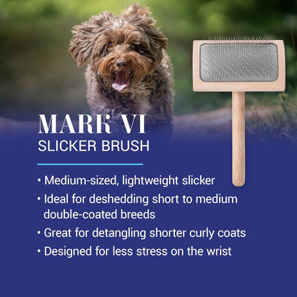 Mark I Slicker Brush for Dogs, 12mm Pins, Groom Like a Pro, Handcrafted Lightweight Beechwood Ergonomic Handle, Stainless Steel Pins, A5I X-Small. Made in Germany.